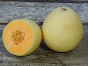 Melon-Honeydew-Orange-Flesh-DSC07420